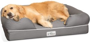 best dog bed for french bulldog